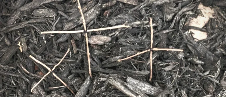Our Rinky-Dink Resurrection Garden: Teaching Easter to My Toddler